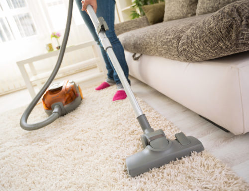 Expert Strategies for Maintaining Pristine Carpets in Indianapolis Homes