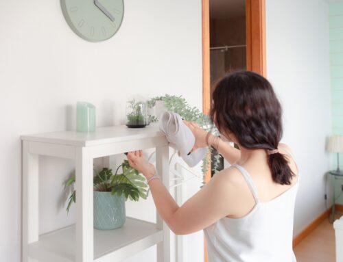 Tips from Avon’s Experts on Maintaining a Clean and Organized Home
